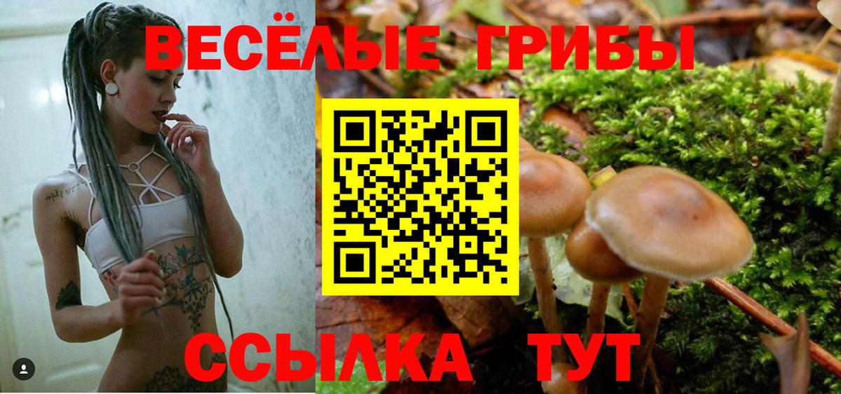 Галлюциногенные грибы прущие грибы Новоалтайск