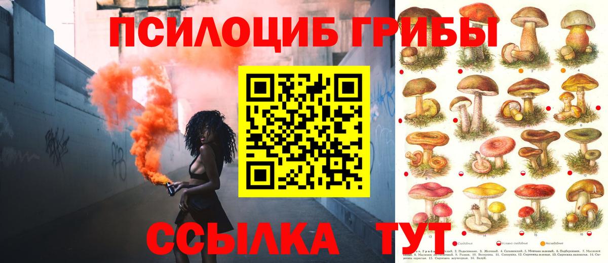 Псилоцибиновые грибы мухоморы  сколько стоит  Вход с VPN  Новоалтайск  Галлюциногенные грибы GOLDEN TEACHER 